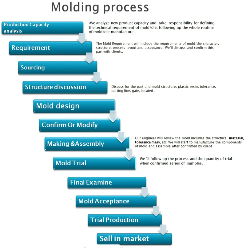 Precision Progressive Tool Stamping Die/Mold/Tooling for Auto Parts Mould